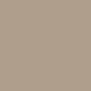 5453 beige sample color