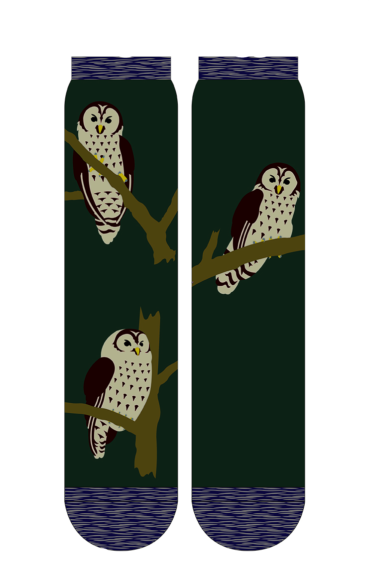 5618 owl animal bird gift socks