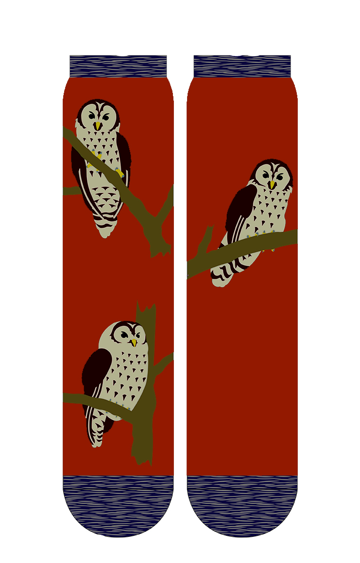 5621 orange owl bird animal holiday gift socks