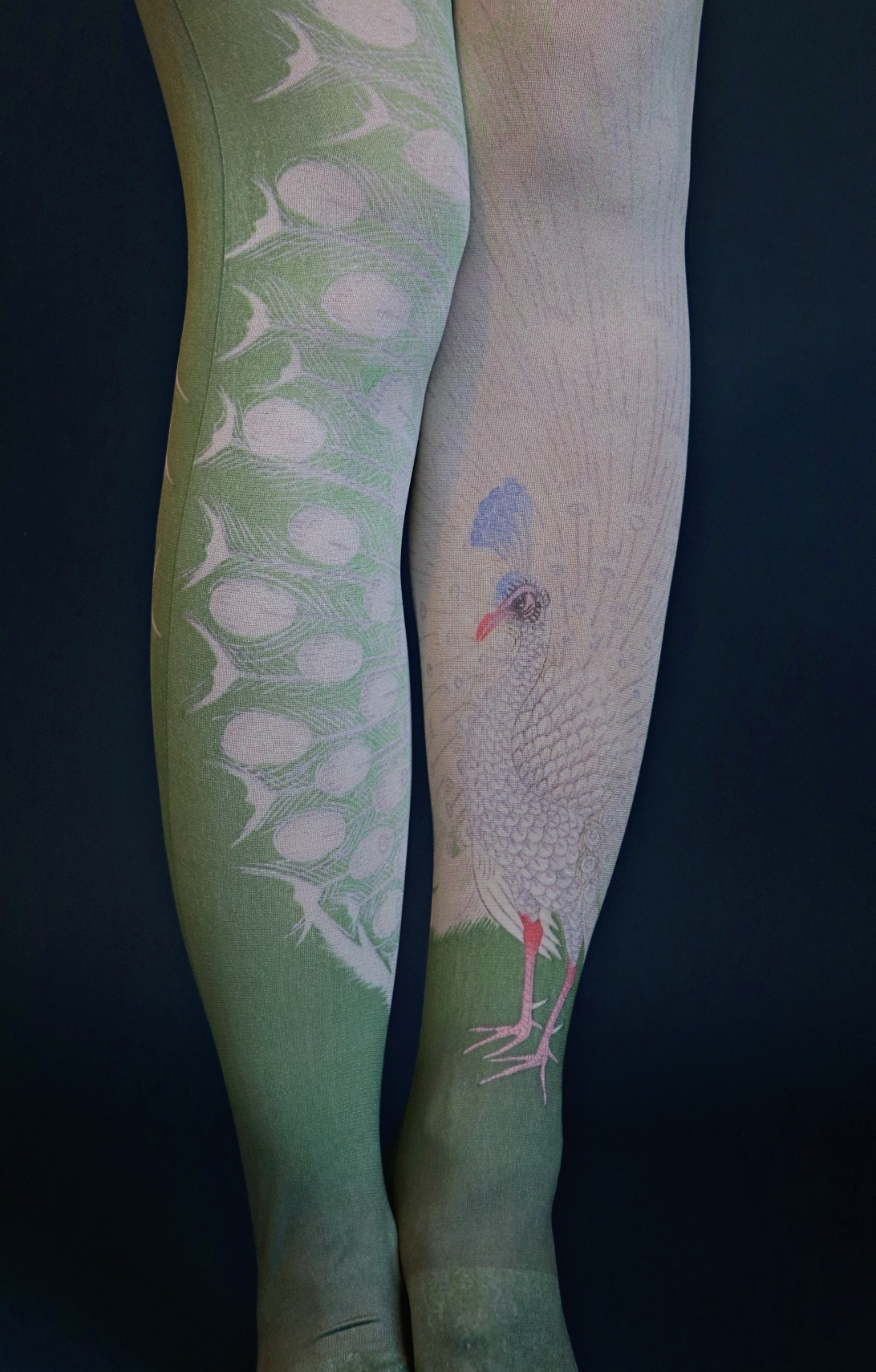 5859 5560 peacock koson